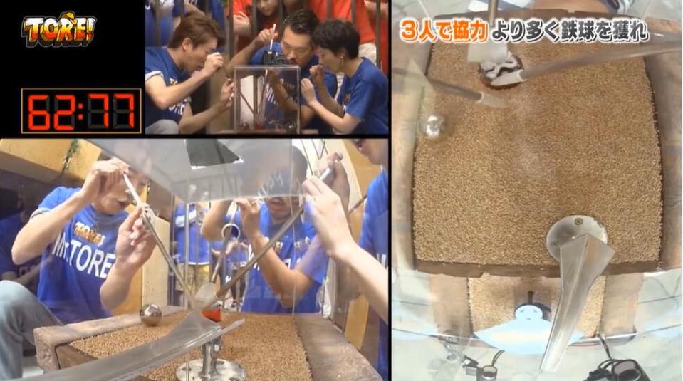 动起来，瘦起来！2019热门日本减肥节目真人秀重磅推荐
