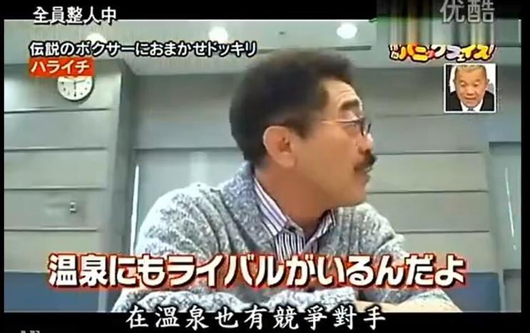 日本的“网红宠物”现象，对动物综艺的影响