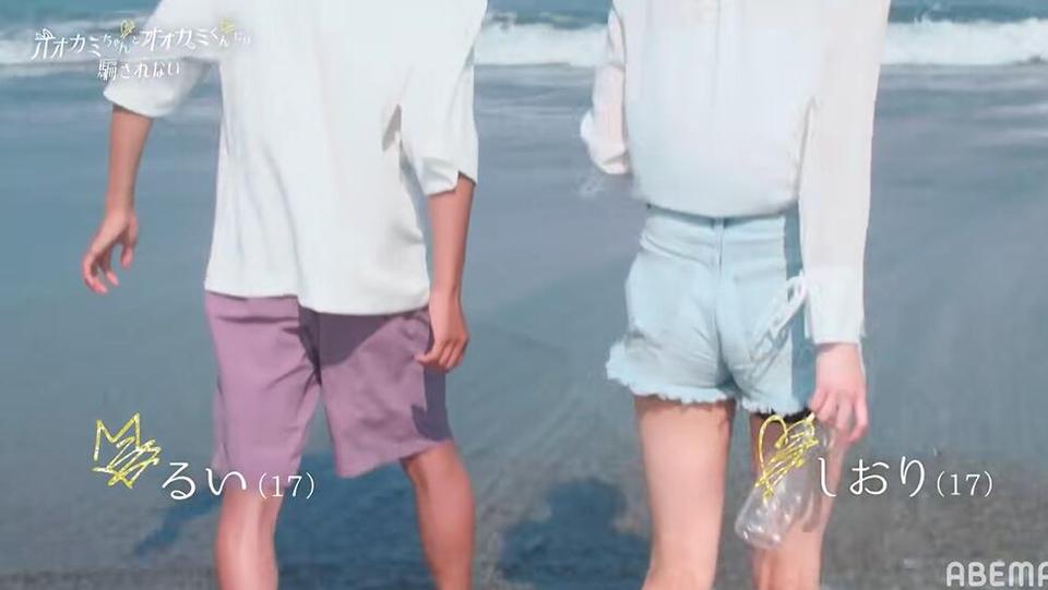 别被“狼君”欺骗，跳出恋爱套路：《别被狼君所欺骗》第一季经验分享