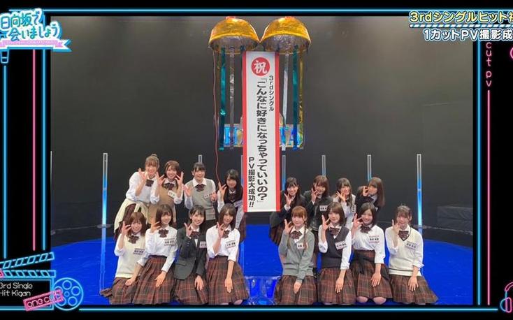 爱情柔道：日本柔道综艺节目特别企划大揭秘