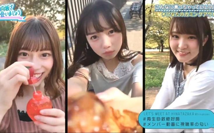 抢先看！最新日本综艺节目高清视频下载地址