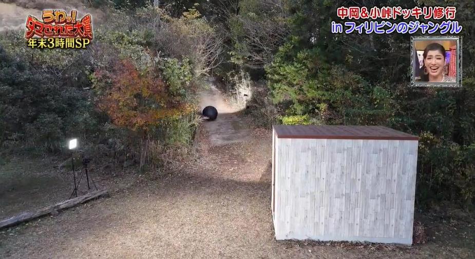 日本整人综艺推荐：哪个app最适合看？