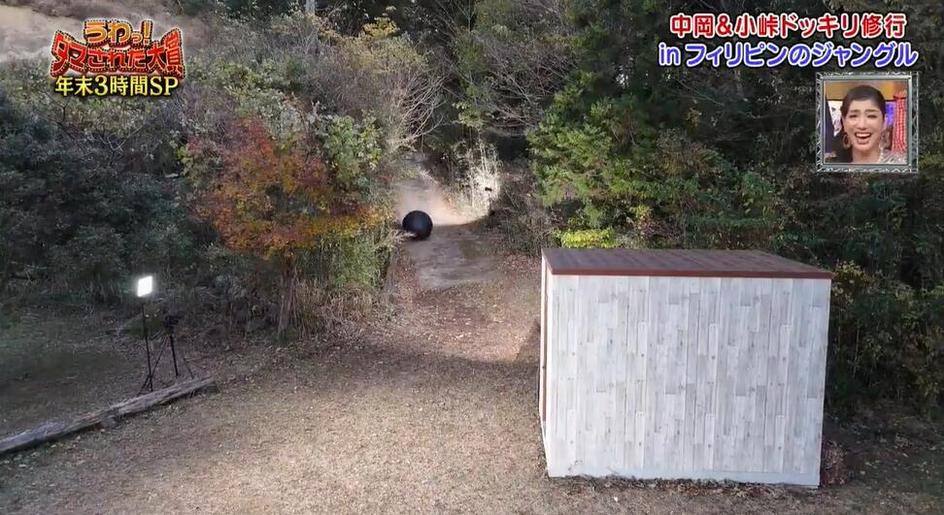 新鲜整人玩法揭秘！《整人大赏》合集大放异彩