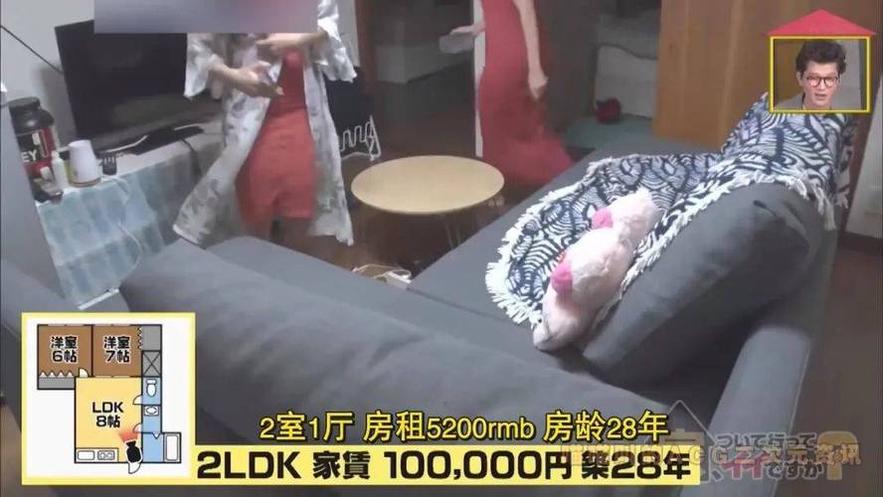 《跟拍到你家》综艺在线观看：家庭摆设与人生轨迹的相交融